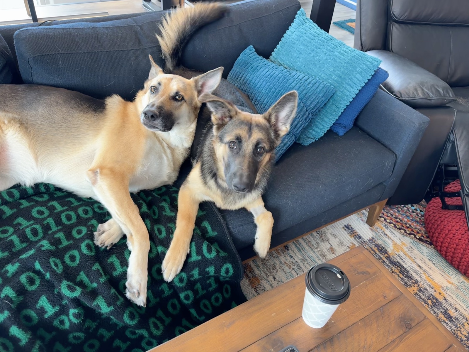 Lana and Potato lounging on a couch over a binary-pattern blanket, coffee cup nearby.