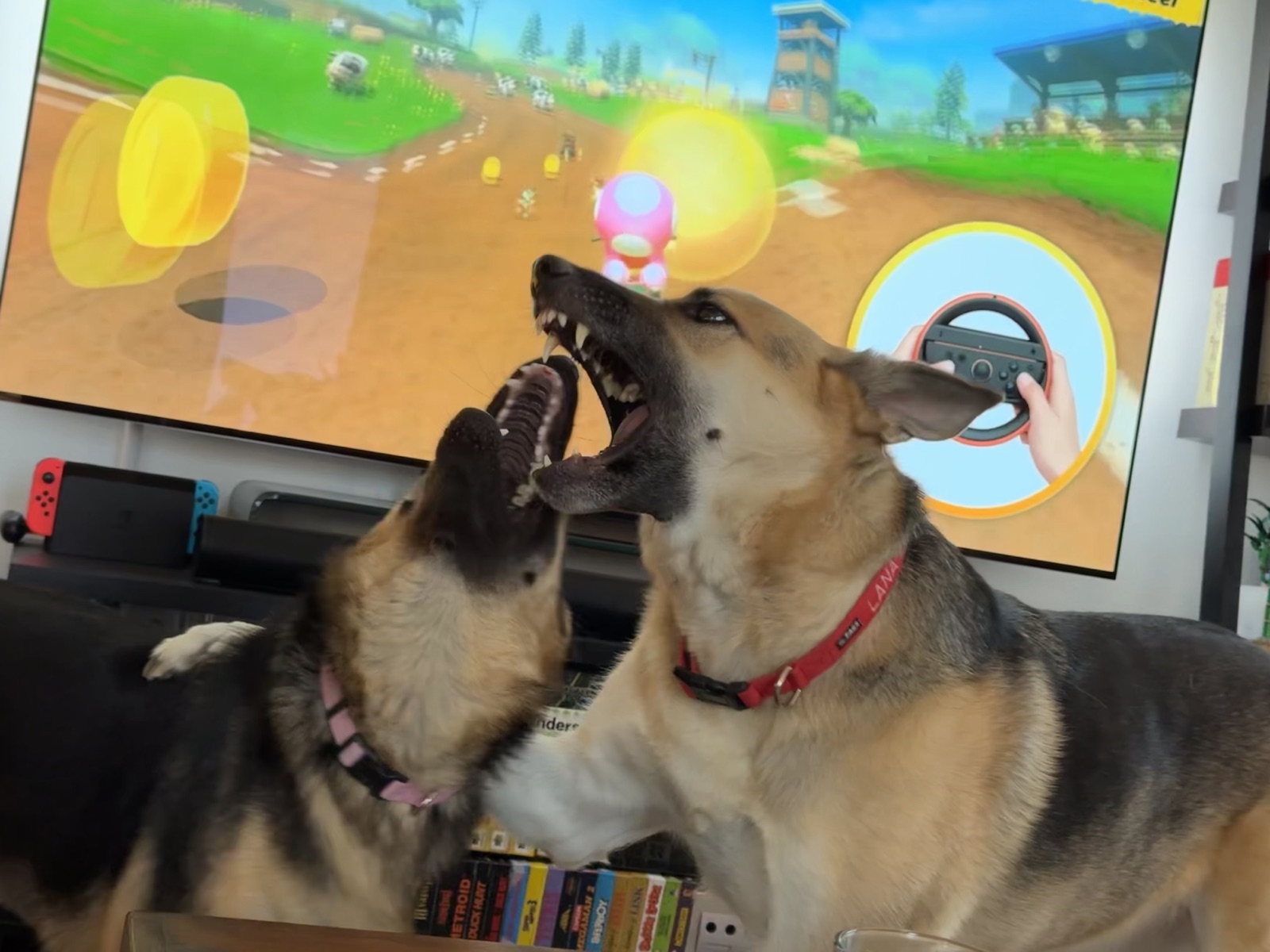 Lana barking with mouth wide while Potato looks on, a Mario Kart game running on the TV behind them.